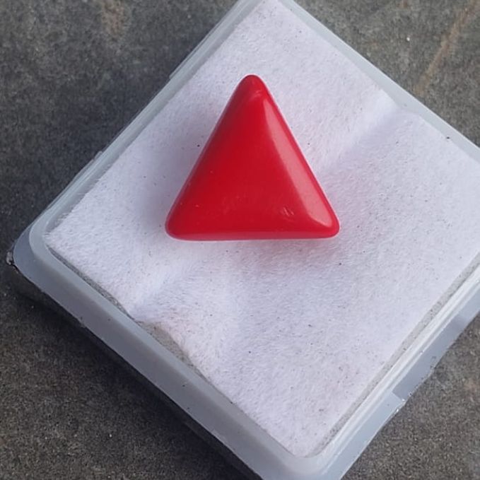 Red Coral / Moonga