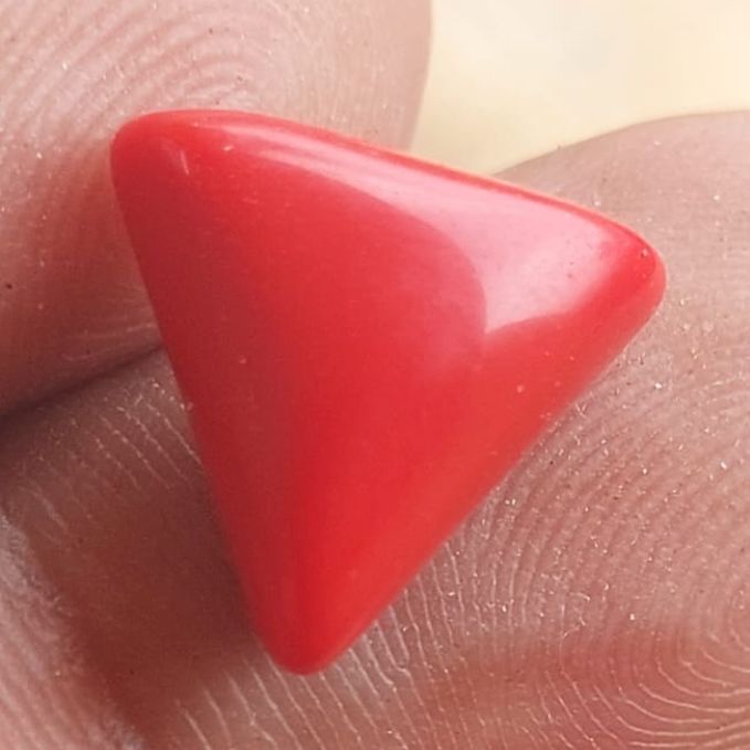 Red Coral / Moonga