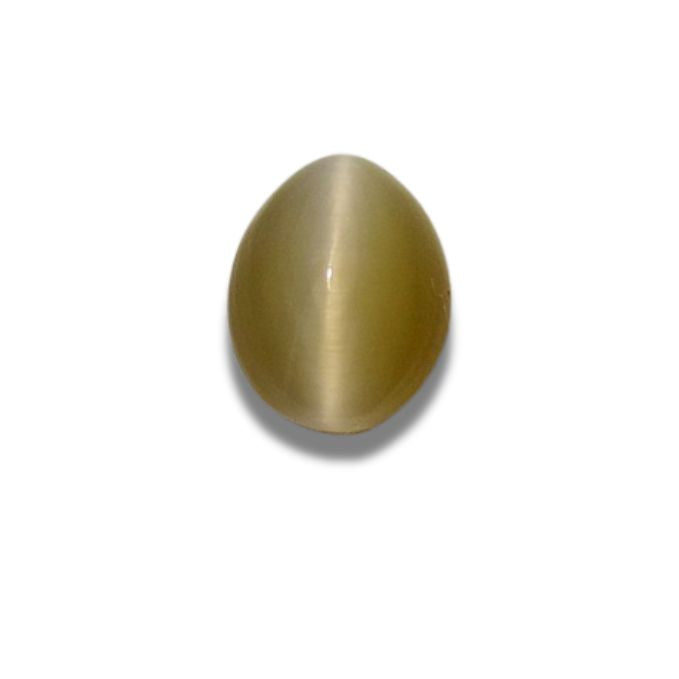 Cat's Eye (Lehsunia)