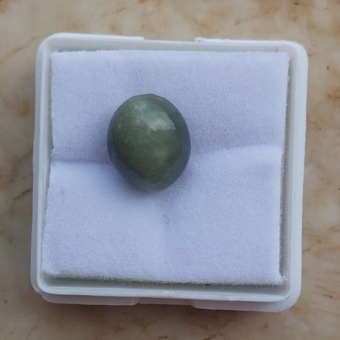 Cat's Eye (Lehsunia)