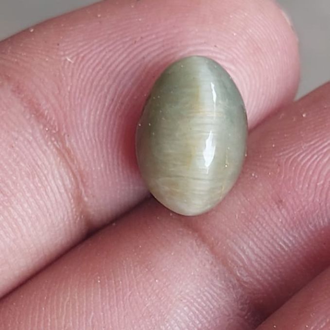 Cat's Eye (Lehsunia)