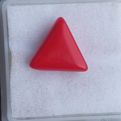 Red Coral / Moonga