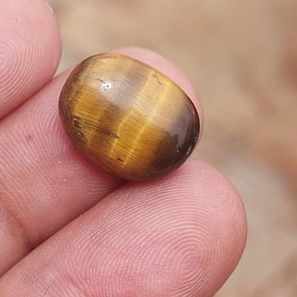 Tiger Eye